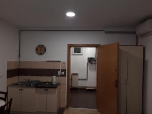 Kuchyňa alebo kuchynka v ubytovaní Apartment Eurho