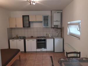 Kuchyňa alebo kuchynka v ubytovaní Apartment Eurho