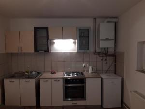 Kuchyňa alebo kuchynka v ubytovaní Apartment Eurho