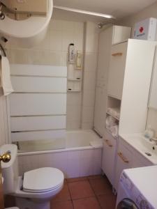 a bathroom with a shower and a toilet and a sink at APARTAMENTO LOS VALLES en SIERRA NEVADA Parking gratuito in Sierra Nevada