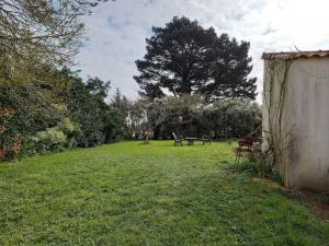 a field with a table and a bench in the grass at Lac Grand Lieu : maisonnette au calme avec jardin in Saint-Lumine-de-Coutais