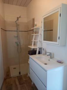 a bathroom with a shower and a sink and a mirror at Lac Grand Lieu : maisonnette au calme avec jardin in Saint-Lumine-de-Coutais