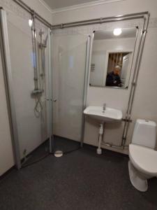 a bathroom with a shower and a toilet and a sink at Villa Stolle in Hammarstrand