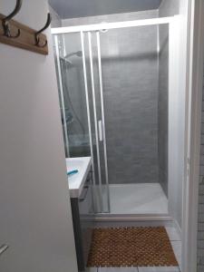 um chuveiro com uma porta de vidro ao lado de um lavatório em Gîte des trois vallees em Nouzonville