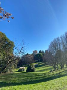 a green field with trees and a castle in the distance at Palazzo De Luigi in Volterra