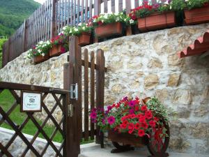 Vonkajšia záhrada v ubytovaní Hermitage Holidays