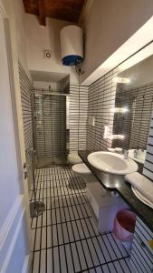 y baño con lavabo, aseo y ducha. en Appartamento il Palazzone, en Capraia