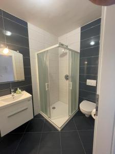 a bathroom with a shower and a toilet and a sink at Apartman Dorotea in Zaton +4 photos
