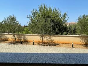 two trees on a sidewalk next to a wall at Apartman Dorotea in Zaton