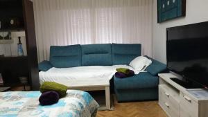 ein Wohnzimmer mit einem blauen Sofa und einem TV in der Unterkunft Alojamiento Adelfas in Madrid