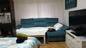 a living room with a blue couch and a tv at Alojamiento Adelfas in Madrid