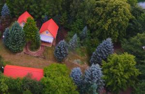 Príroda v okolí apartmánu