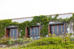 Zahrada ubytování Villa Curiazzi Guesthouse Viale la Pelosa 16