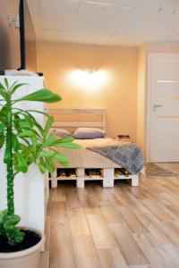 1 dormitorio con 1 cama y una maceta en Apartment in Garage with free parking, en Kaunas