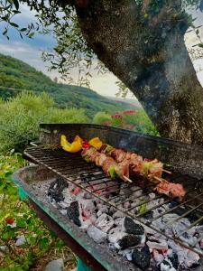 ein Grill mit Fleisch und Gemüse darauf in der Unterkunft Casa Belvedere in Diano San Pietro