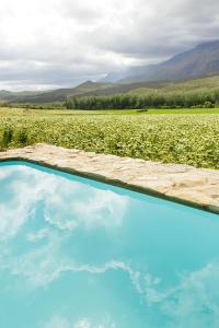 a pool in the middle of a field of flowers at Blue Lily Retreat in Matjiesrivier