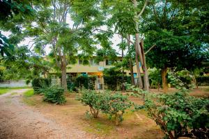 a house with trees in front of a dirt road at Retreat Aparthotel-Garden-Solar-Wi-Fi -Firepit-Park-carport in Lusaka