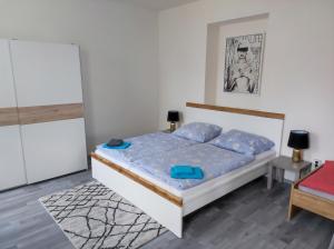 1 dormitorio con cama con sábanas azules y alfombra en Apartmány HAVLÍČKOVA s parkováním zdarma en Česká Lípa