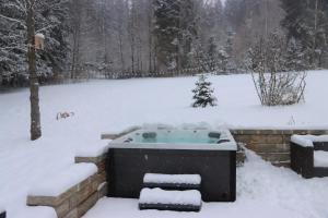 uma banheira de hidromassagem num quintal coberto de neve em Apartment am Nationalpark Bayerwald em Lindberg