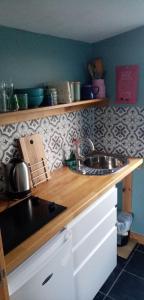 uma cozinha com um lavatório e uma bancada em Kiloran Self Catering Suite em Skeabost