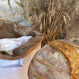 zwei Brotlaibe und eine Tüte Weizen in der Unterkunft Agriturismo Colle Tocci in Subiaco