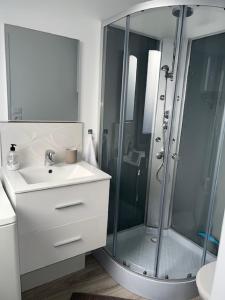 uma casa de banho com uma cabina de duche em vidro e um lavatório. em Un havre de paix en plein coeur de ville près Chu em Clermont-Ferrand