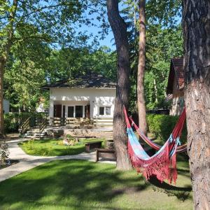 Foto dalla galleria di ŐzikeLak24 a Szigetmonostor