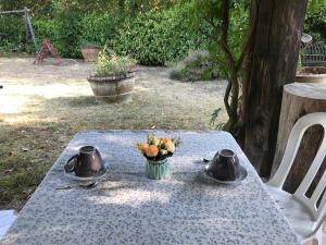 Zahrada ubytování Agriturismo Podere I' Caldino
