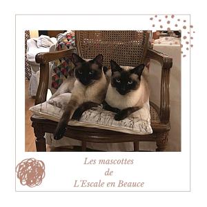 Gallery image of L ESCALE EN BEAUCE in Maisons