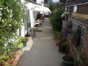 an alley with potted plants on the side of a building at Ashdene Guest House in Southampton