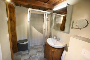 ein Bad mit einem Waschbecken und einer Dusche in der Unterkunft Kellerstöckl Berg 77 in Sumetendorf