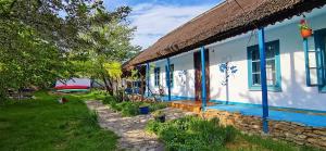 a blue and white house with blue windows at Traditional House in Danube Delta in Jurilovca