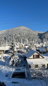 miasto pokryte śniegiem z górą w tle w obiekcie Sadyba Dana w mieście Tatarów