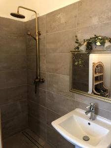 een badkamer met een wastafel en een spiegel bij Ferienbahnhof Utzerath in Utzerath +10 foto's