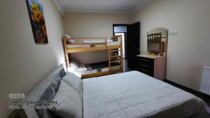 Postel nebo postele na pokoji v ubytování Bakuriani-apartment