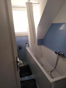 a bathroom with a bath tub in a attic at Gemütliche Wohnung zentrumsnah in Pirmasens +10 photos
