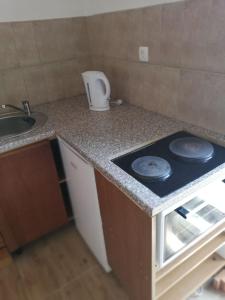 cocina con encimera, fogones y fregadero en Apartment Zola, en Gornji Karin