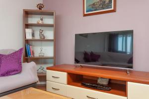 Televízia a/alebo spoločenská miestnosť v ubytovaní Apartman Prlić 3