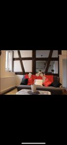 a living room with a bed with red pillows at Chez Ben et Maé in Rouffach