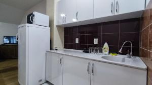 a kitchen with a white refrigerator and a sink at Apartmani Mladenović in Kijevo +34 photos