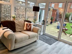 a dog on a pillow on a couch in a living room at The March Hare in March