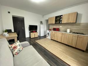 a living room with a kitchen with a couch and a refrigerator at Mares Rentals Residence Magurele in Măgurele