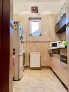 a kitchen with a refrigerator and a window at Mosaico Alfetta Hostel in Timişoara