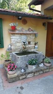 Zahrada ubytování Agriturismo Podere I' Caldino