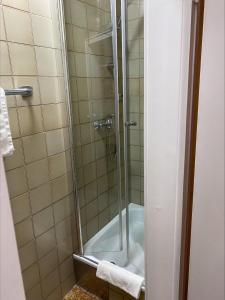 baño con ducha y puerta de cristal en Hotel Rosengarten Tuttlingen, en Tuttlingen