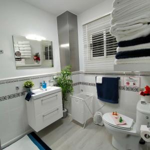 een witte badkamer met een toilet en een wastafel bij Playa Monis 1 in Icod de los Vinos