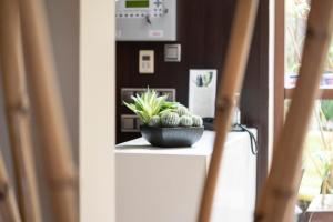 a plant in a bowl sitting on a counter at Hotel Piramide 2 in Portonovo