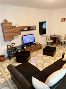 een woonkamer met een bank en een flatscreen-tv bij Mosaico Alfetta Hostel in Timişoara