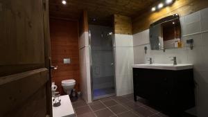 a bathroom with a shower and a sink and a toilet at mini duplex dans chalet in Saint-François-Longchamp +20 photos