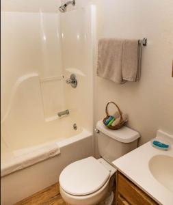 La salle de bains est pourvue de toilettes, d'une baignoire et d'un lavabo. dans l'établissement Rocky Mountain Inn, à Paonia
